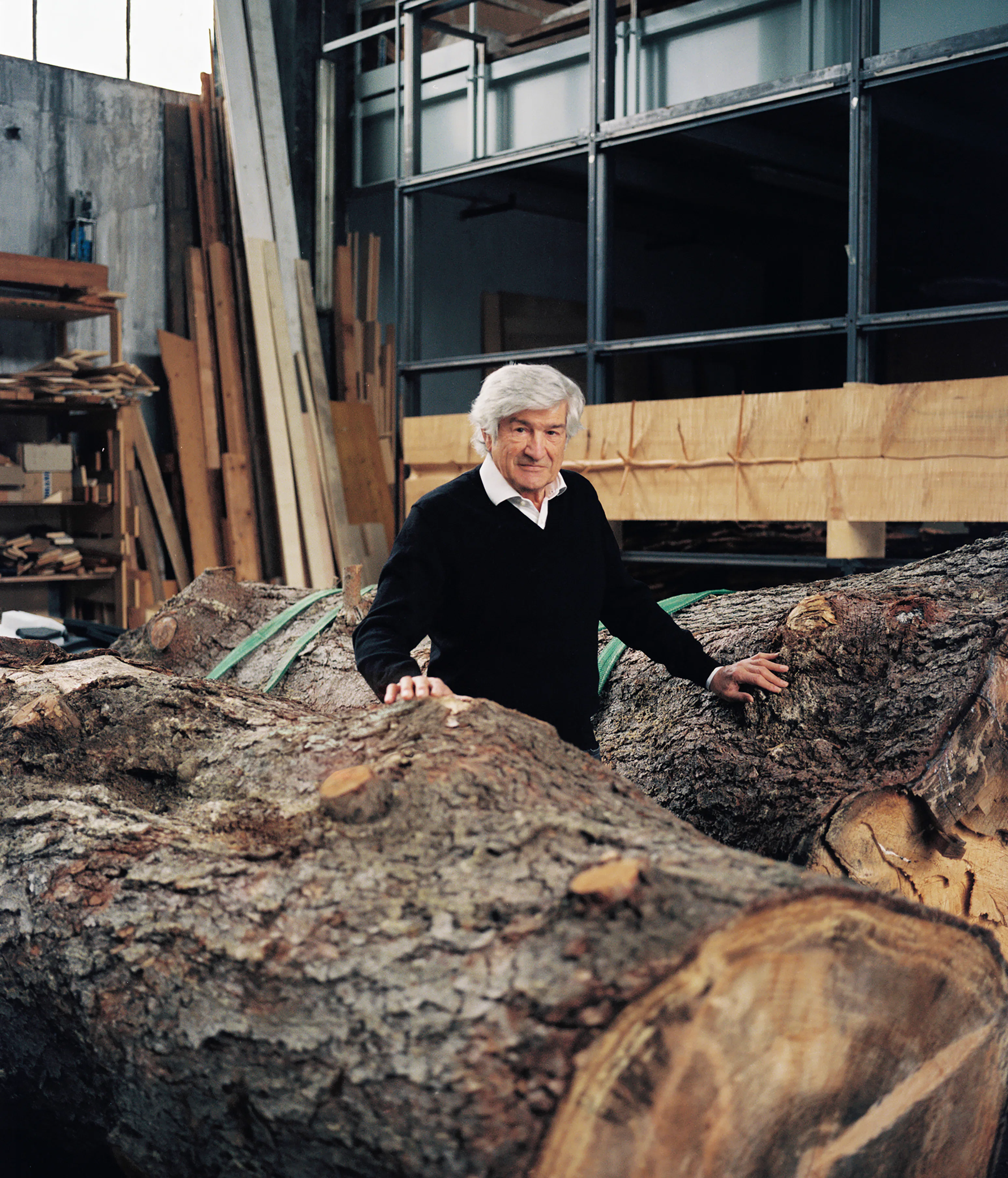 Penone in his studio