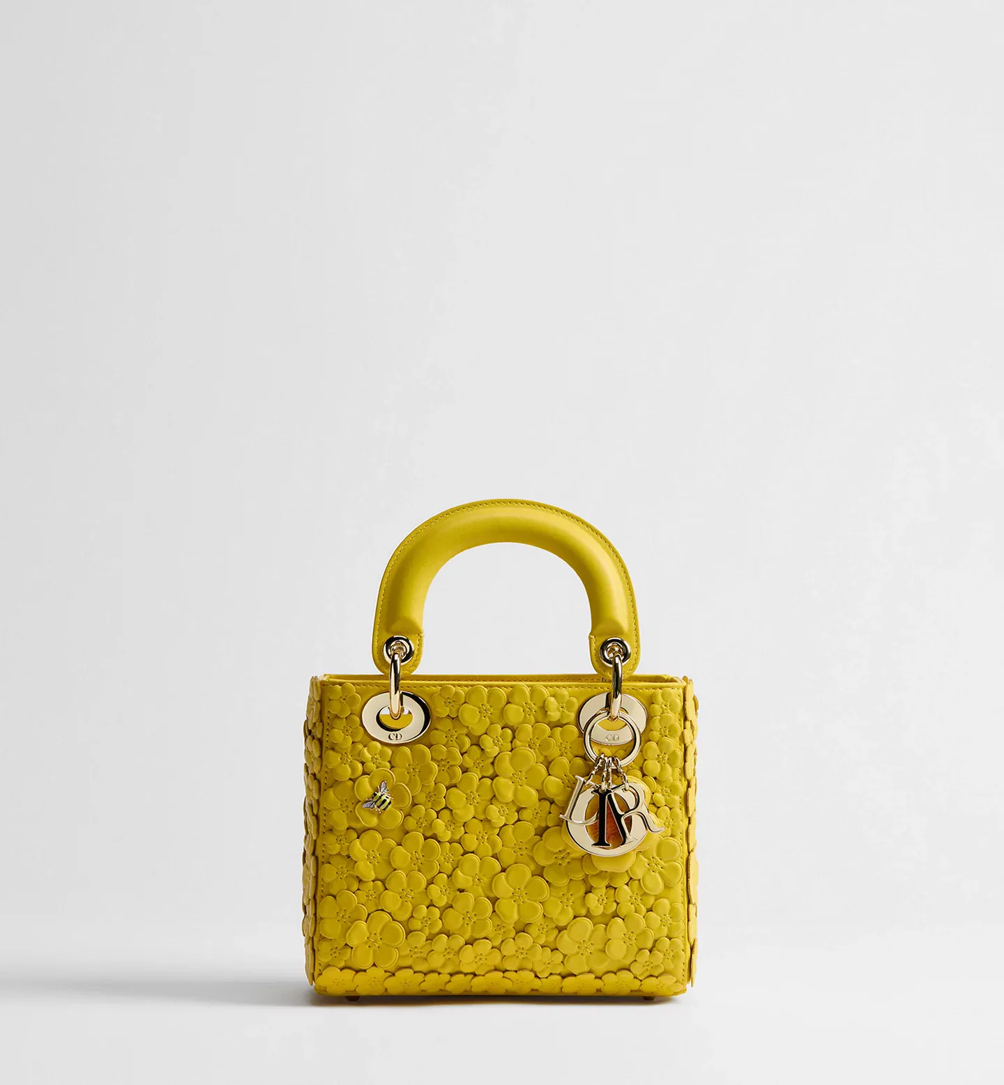 Mini Lady Dior Bag with Strap
