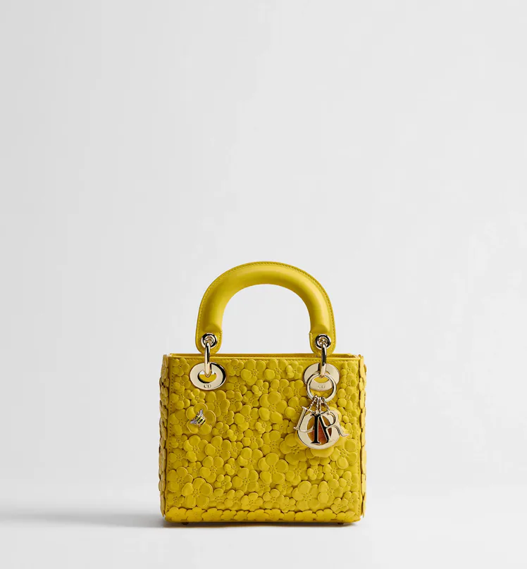 Mini Lady Dior Bag with Strap
