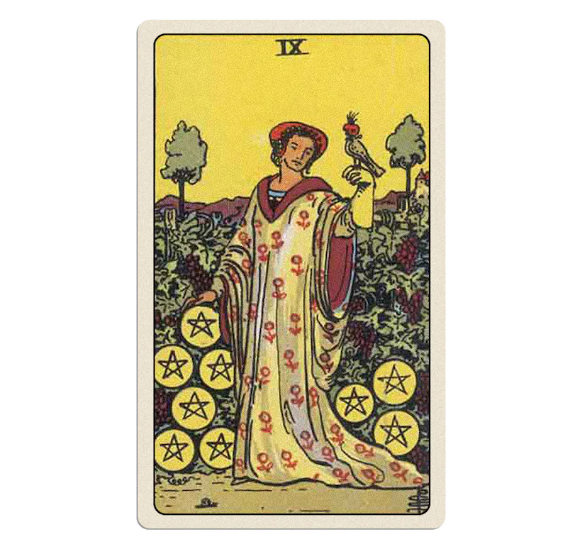 Nine Of Pentacles tarot card