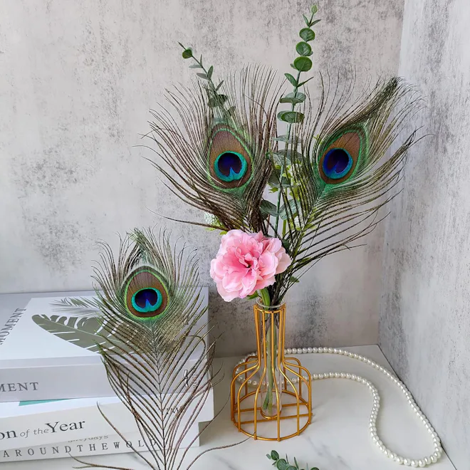 THARAHT Peacock Feather Stems (12 Pieces)