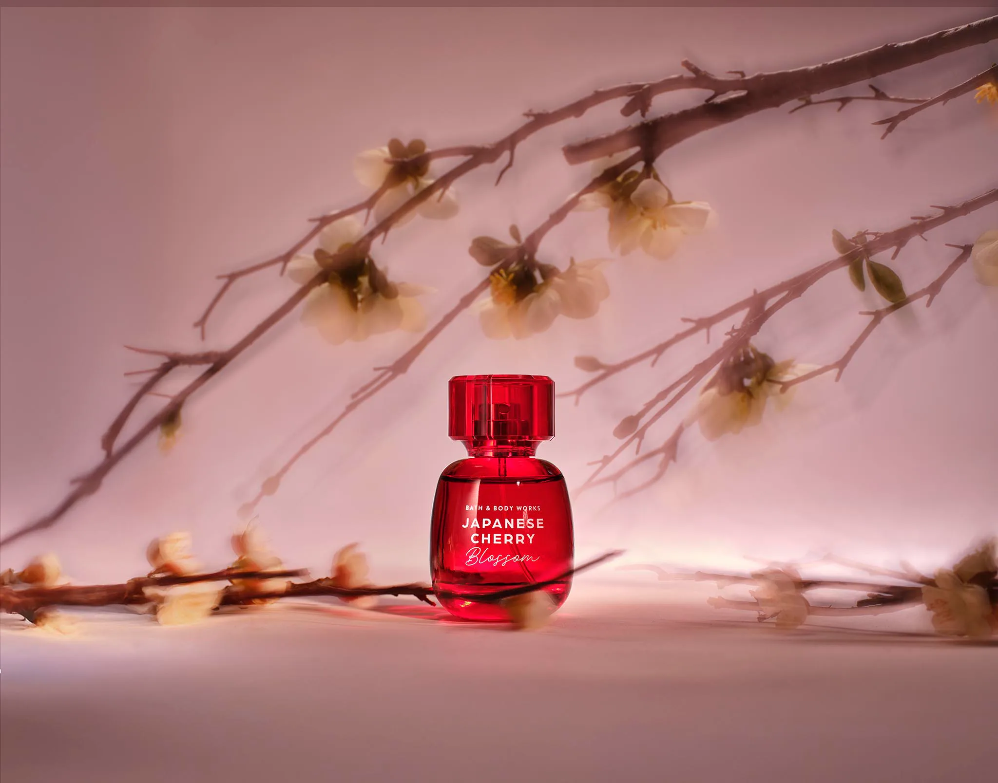 japanese cherry blossom bath & body works