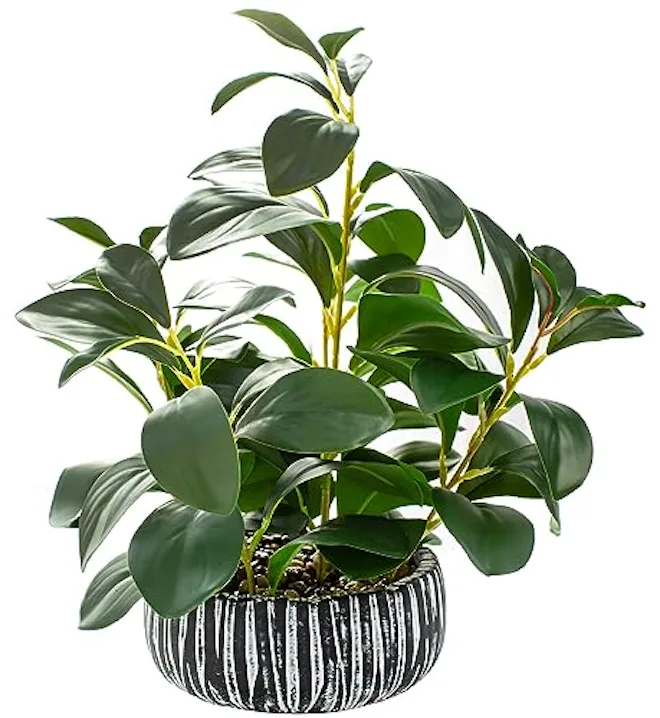 AlphaAcc Artificial Plant