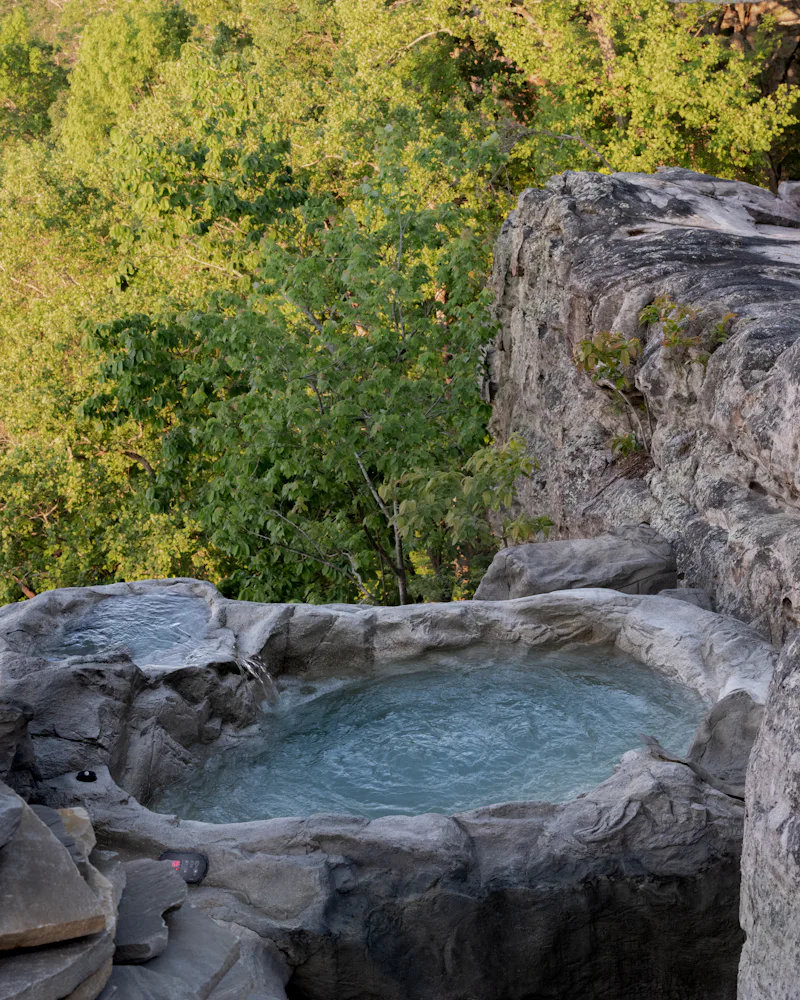 Bolt Farm Tree House