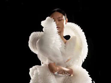 Iris Van Herpen's Morphogenesis dress, on view as part of ‘Sculpting the Senses’ at the Brooklyn Mus...