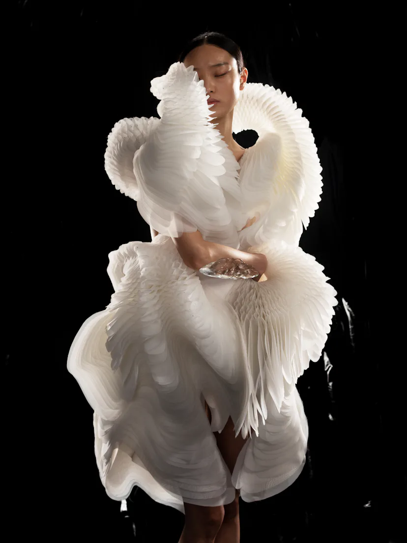 Iris Van Herpen's Morphogenesis dress, on view as part of ‘Sculpting the Senses’ at the Brooklyn Mus...
