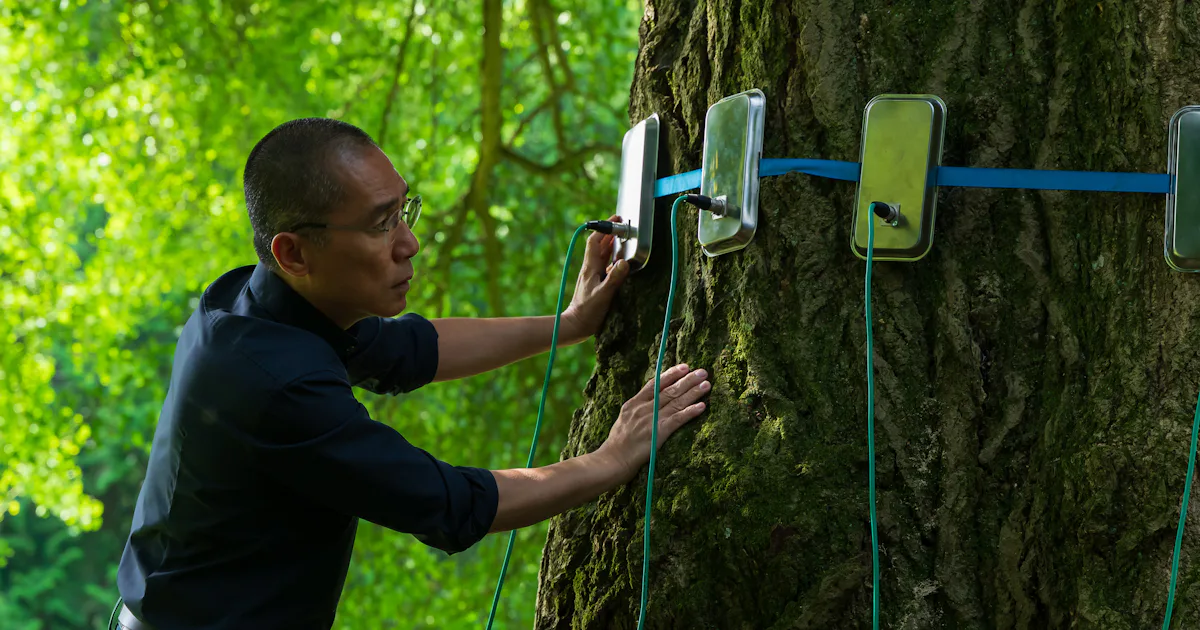 Kunnen we met bomen praten? De verrassende wetenschap achter ‘Intelligentie’ van planten in ‘Silent Friend’