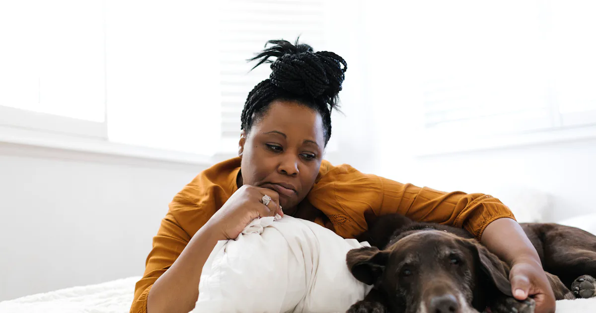 Can Your Dog "Catch" Your Anxiety? Experts Explain How Dogs Absorb Human Stress