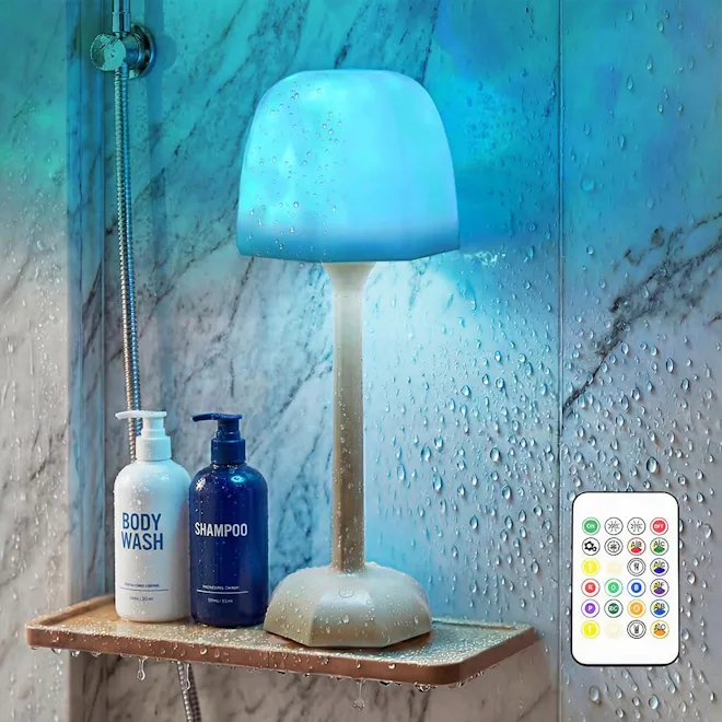 RICHMYC Waterproof Shower Lamp with Remote