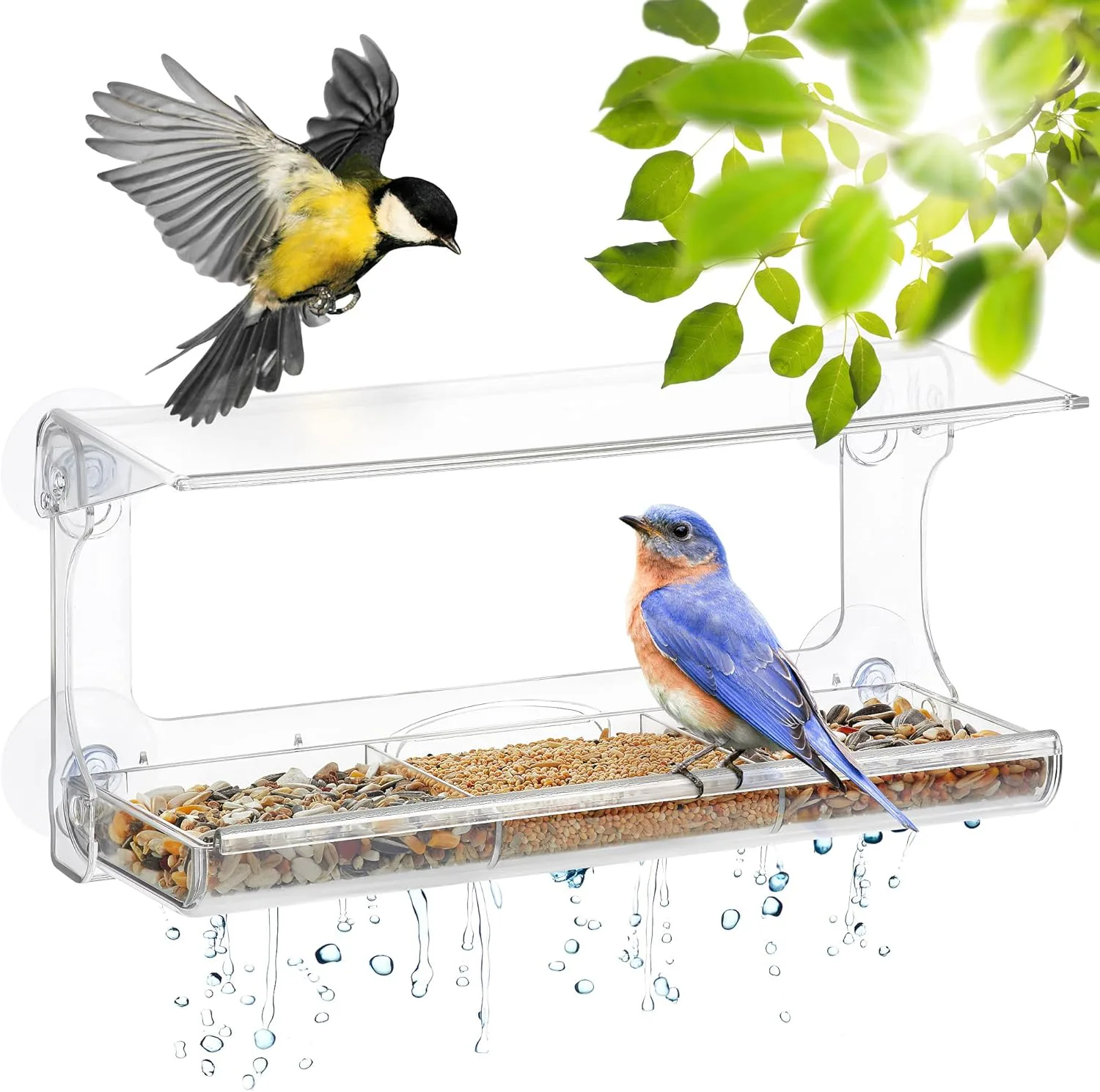 D.F. Omer Window Bird Feeder