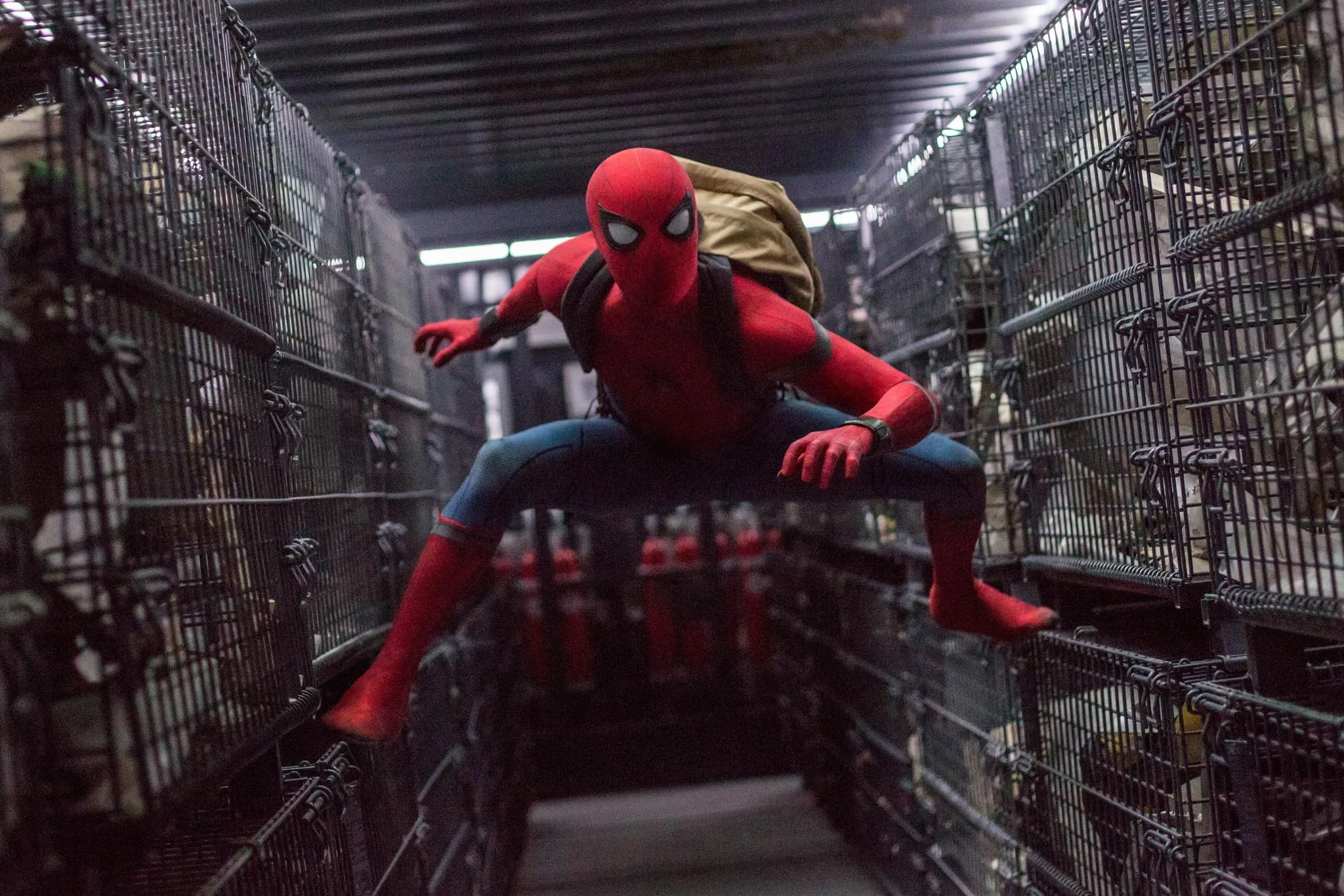 Tom Holland as Peter Parker/Spider-Man in Spider-Man: Homecoming