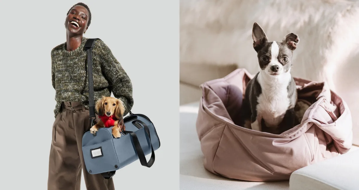 The Zoe Report’s 2026 Readers' Choice: The Best Pet Travel Accessories