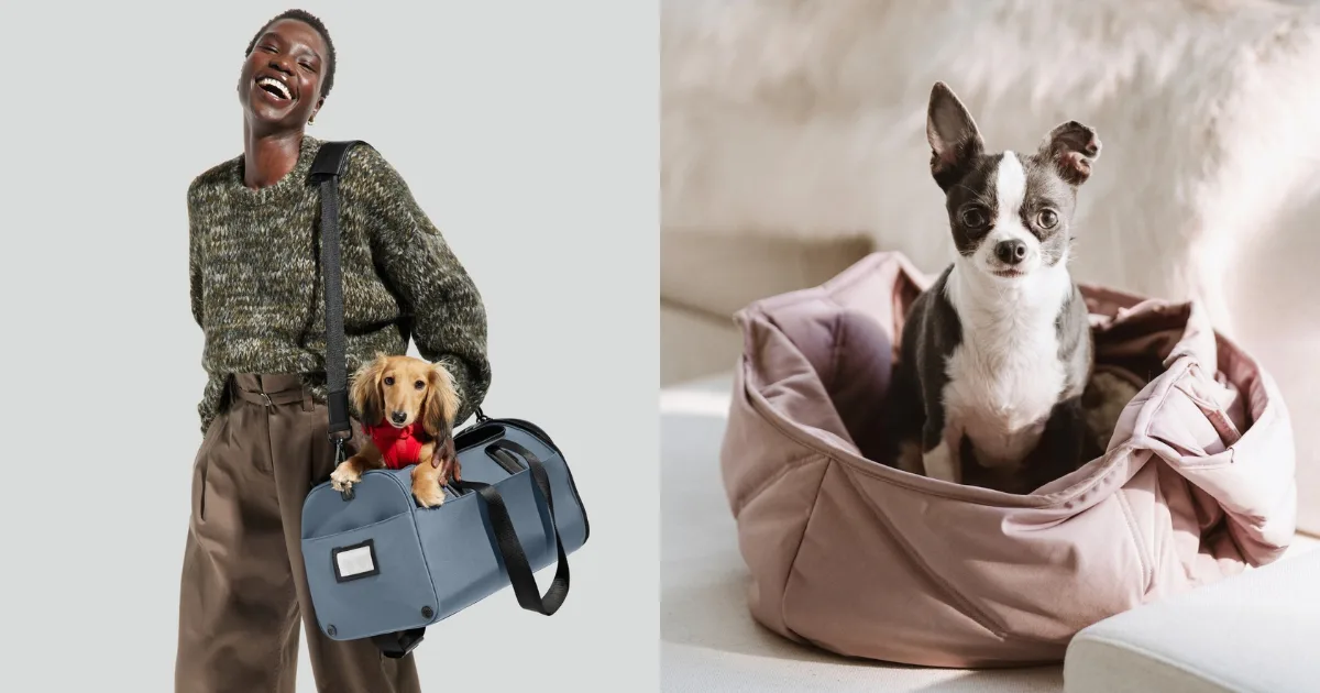 The Zoe Report’s 2026 Readers' Choice: The Best Pet Travel Accessories