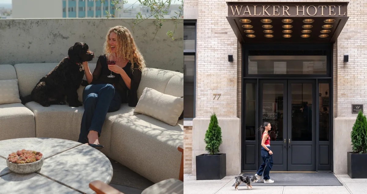The Zoe Report’s 2026 Readers' Choice: The Best Pet-Friendly Hotels