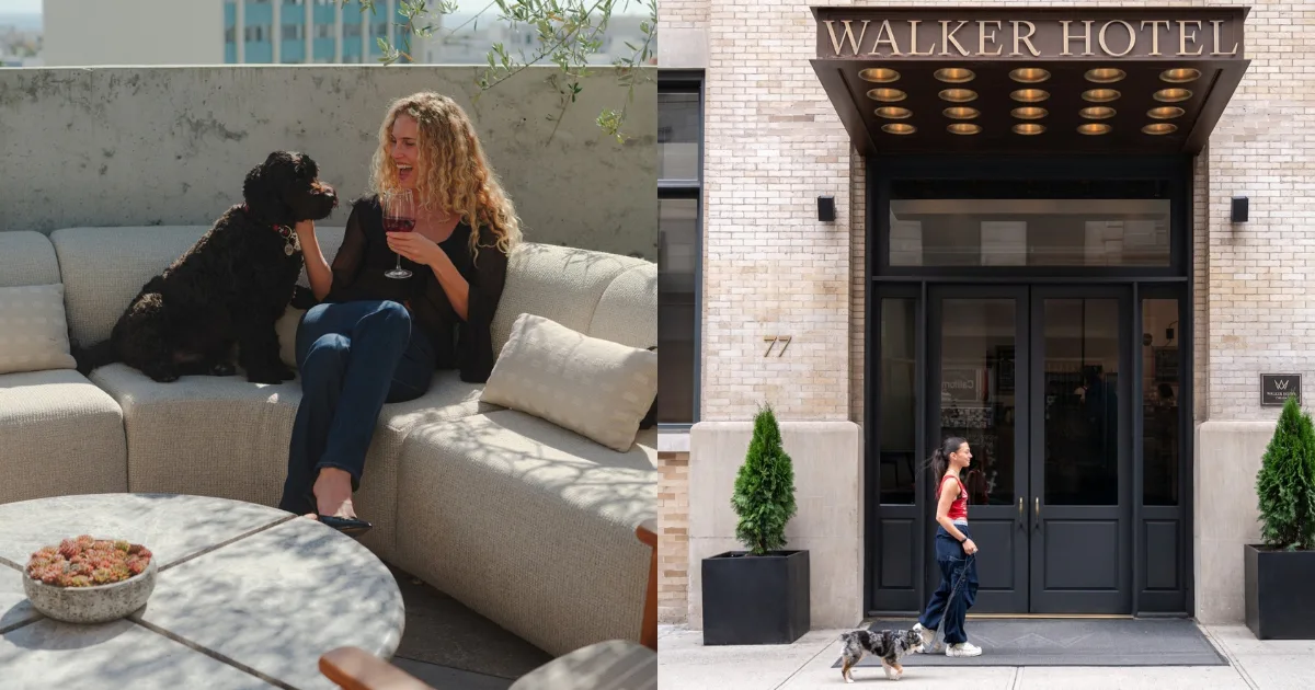 The Zoe Report’s 2026 Readers' Choice: The Best Pet-Friendly Hotels