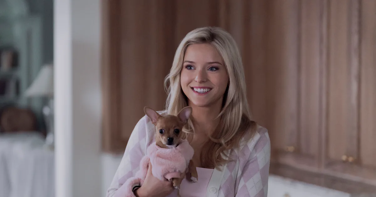 These 'Elle' Moments Parallel The 'Legally Blonde' Ending