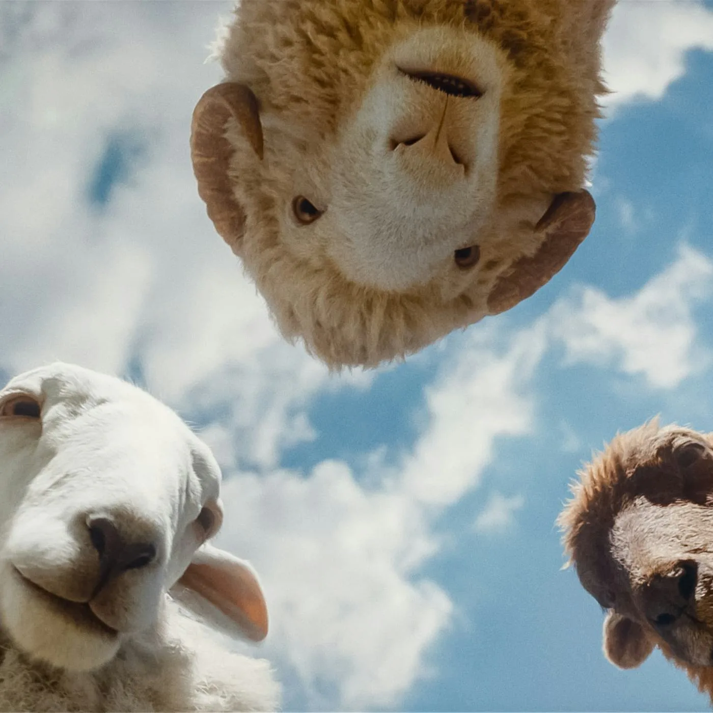 Amazon Just Quietly Added One Of The Best — And Most Surprising — Movies Of The Year