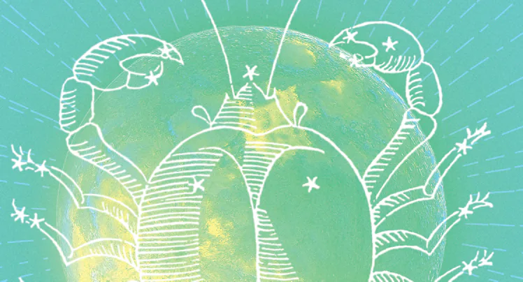 cancer new moon