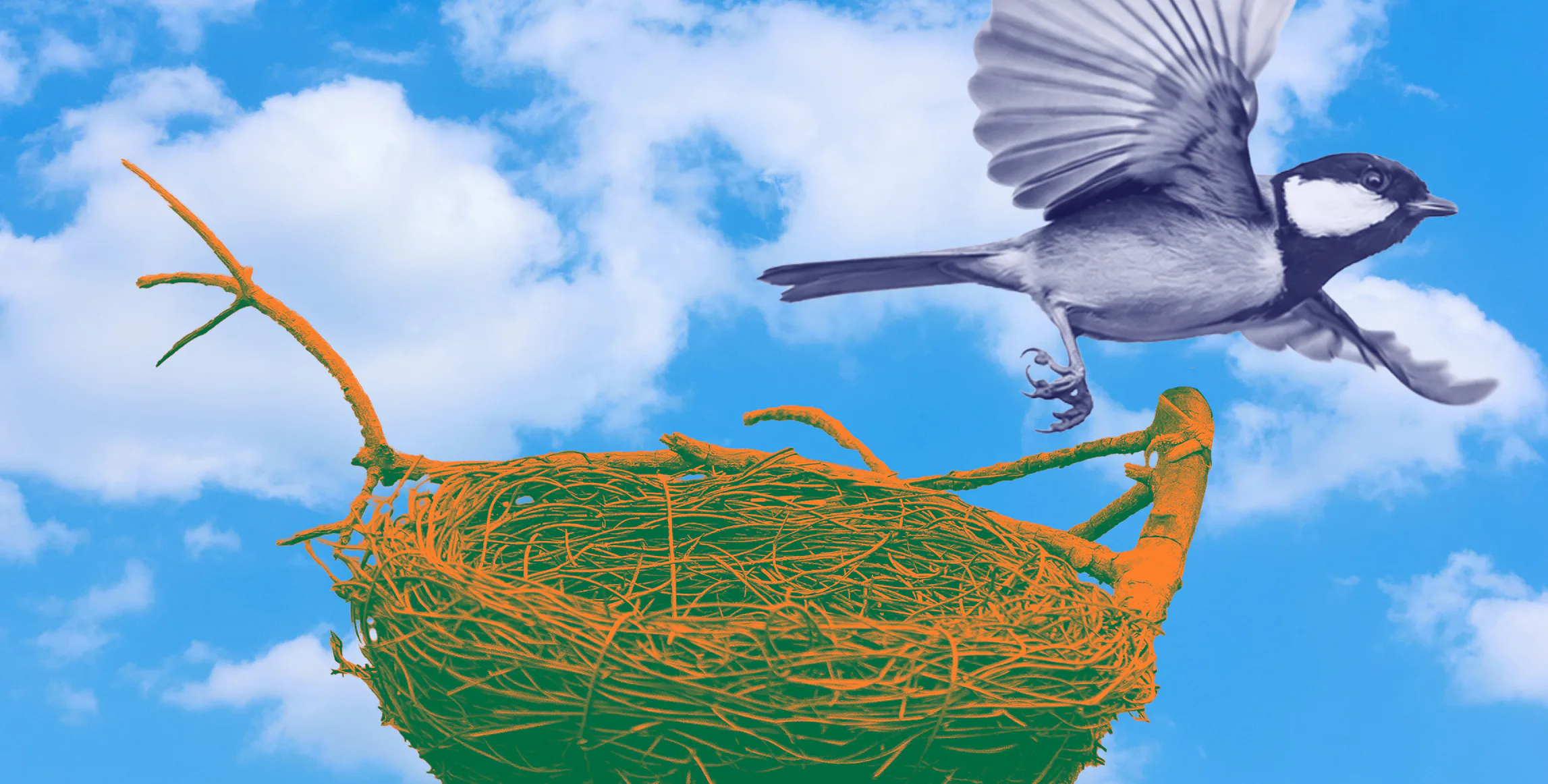 Trust Me, Here Are 10 Things To Do To Get Ready To Become An Empty Nester