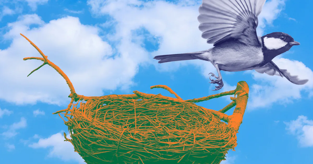 Trust Me, Here Are 10 Things To Do To Get Ready To Become An Empty Nester