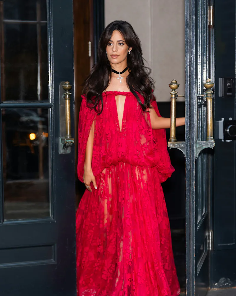 Camila Cabello in a Zimmermann dress