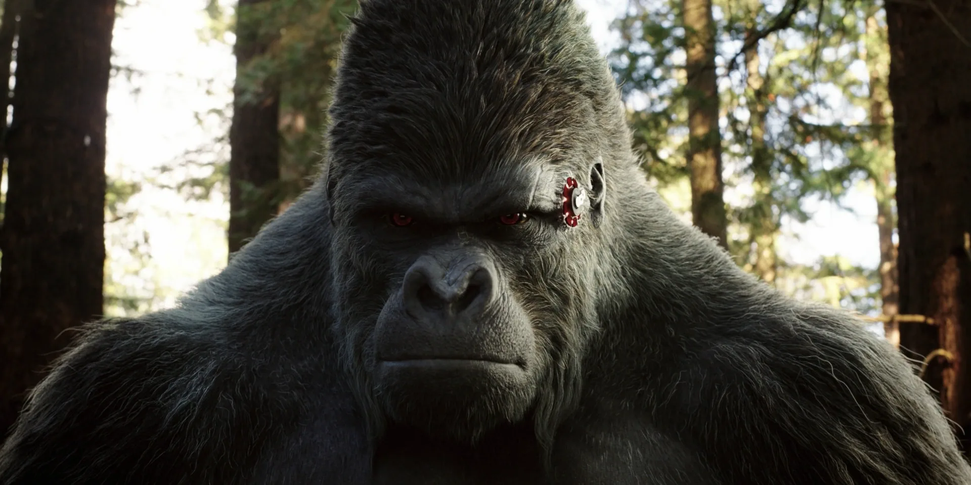 Gorilla Grodd Legends of Tomorrow