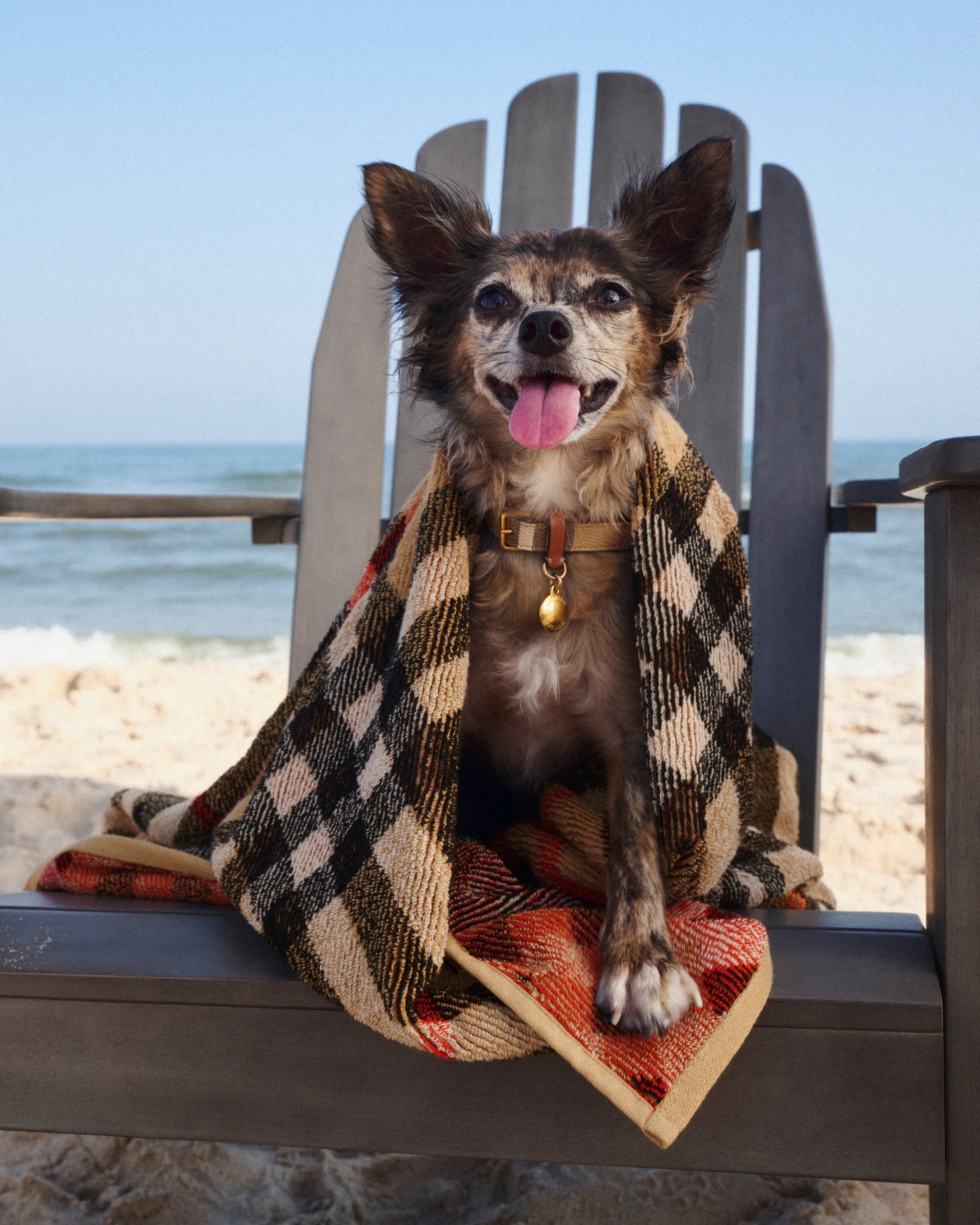 The Hamptons Summer 2026 Events Worth Checking Out This Summer