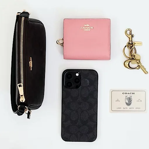 A bag outlay of what fits in the Coach Nolita 19 shoulder bag 