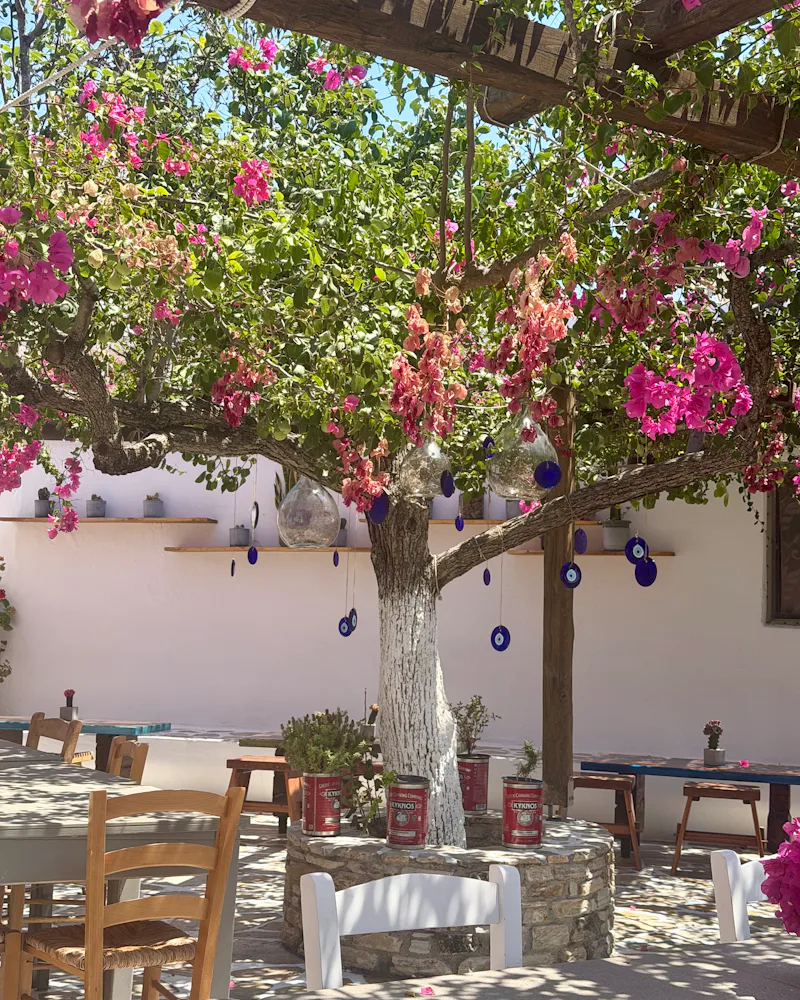 Jenna Perry's Greece trip