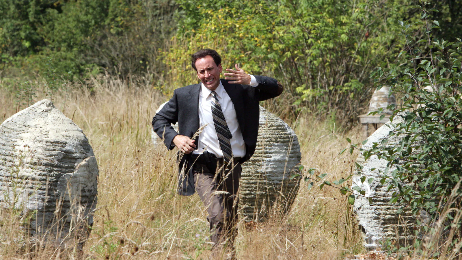 Nick Cage in 'The Wicker Man,' being bothered by some bees