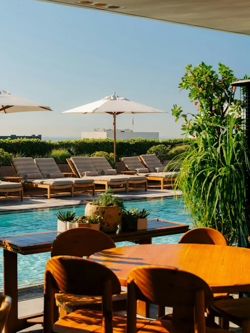 Santa Monica destination guide