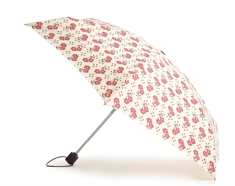 Mini Umbrella Rachel Ditsy