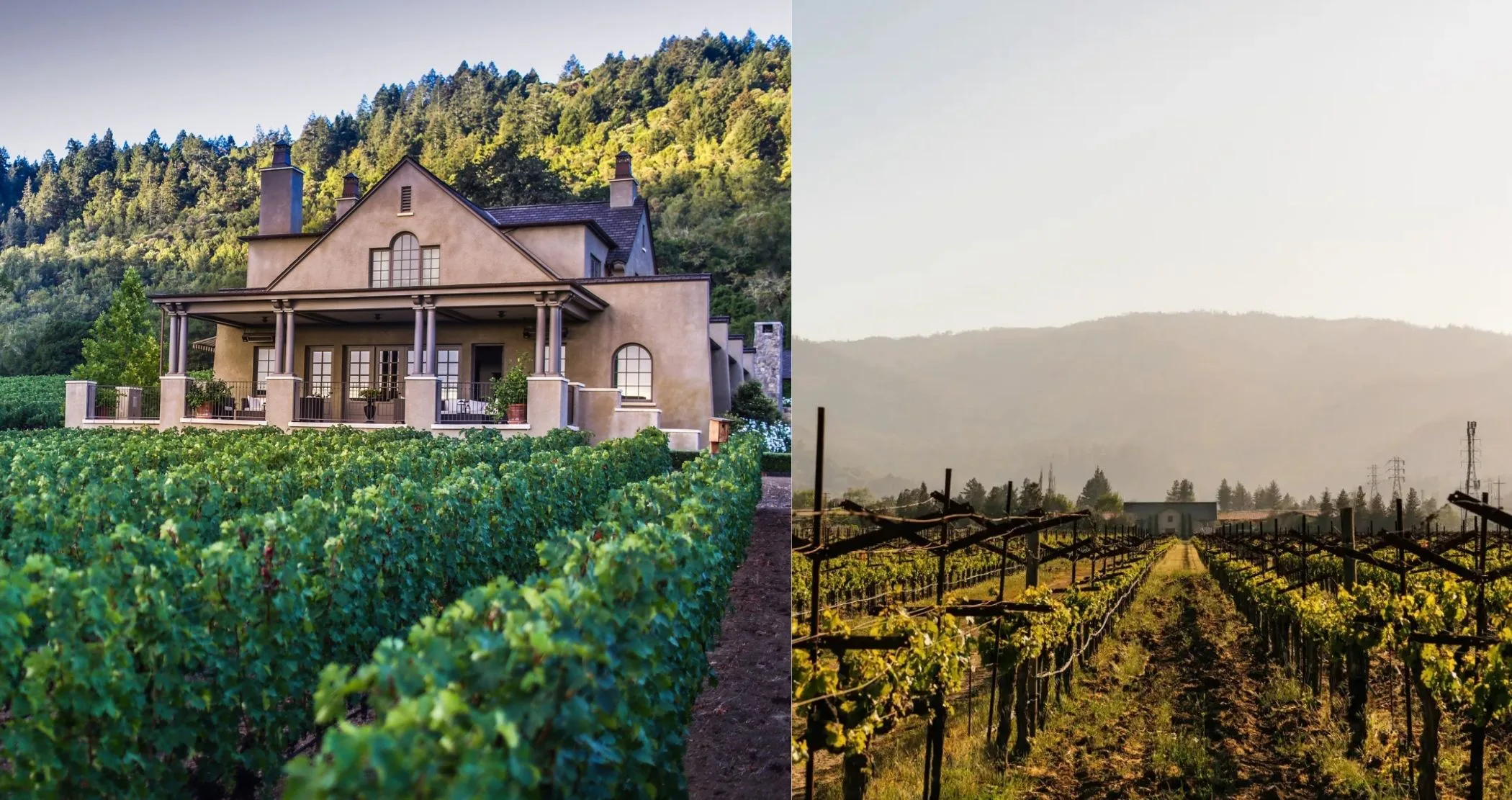The Zoe Report’s Readers' Choice Awards: Best Woman-Owned Wineries