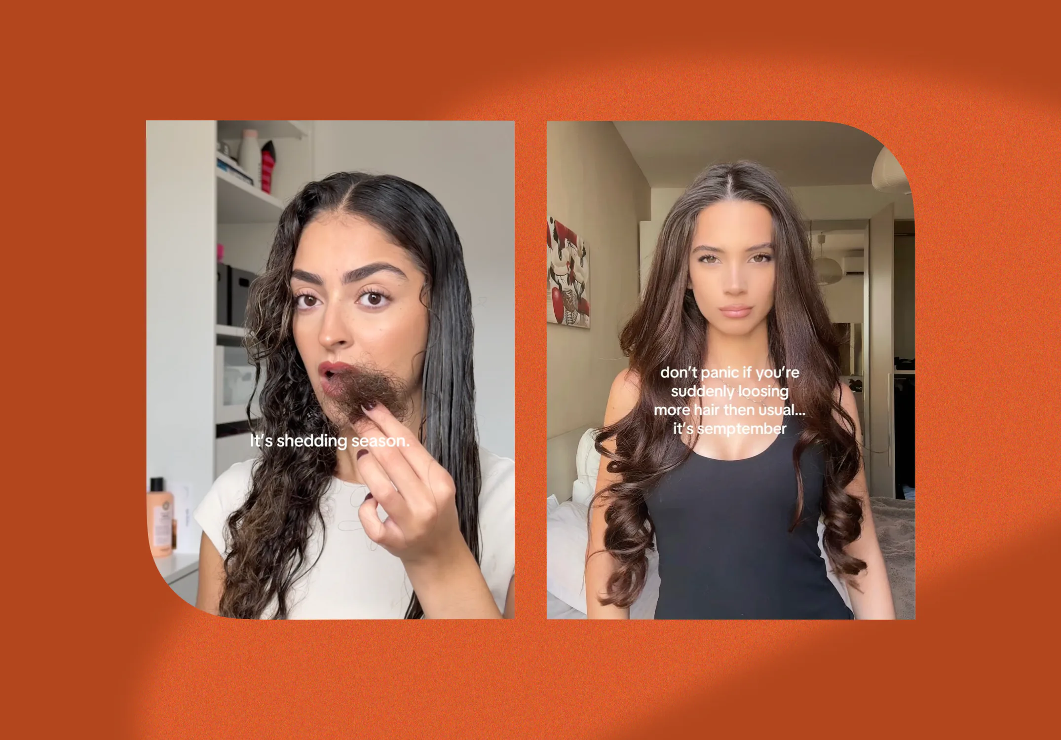 A trichologist explains the "fall shed" phenomenon taking over TikTok.