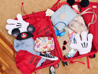 I tried using the Disney x BÉIS collection at D23 Expo.