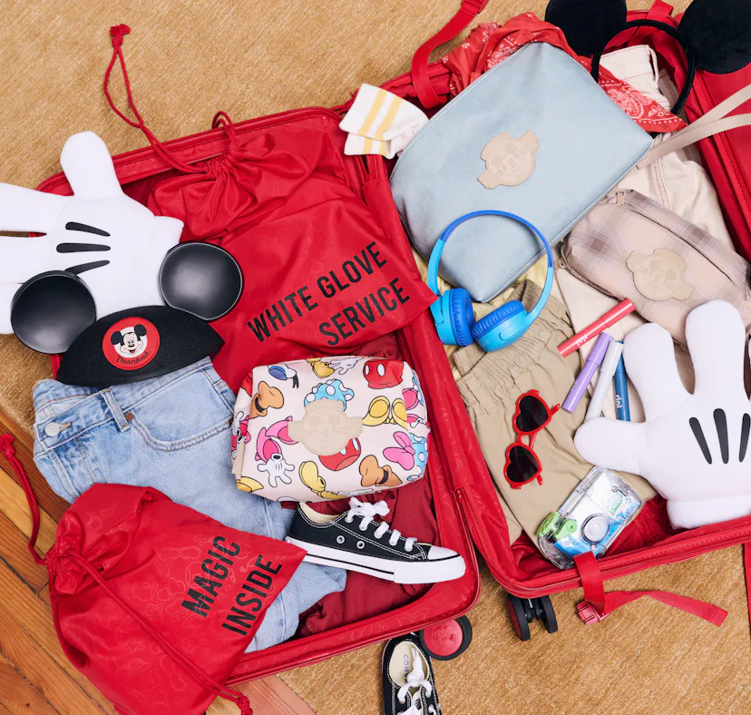 I tried using the Disney x BÉIS collection at D23 Expo.