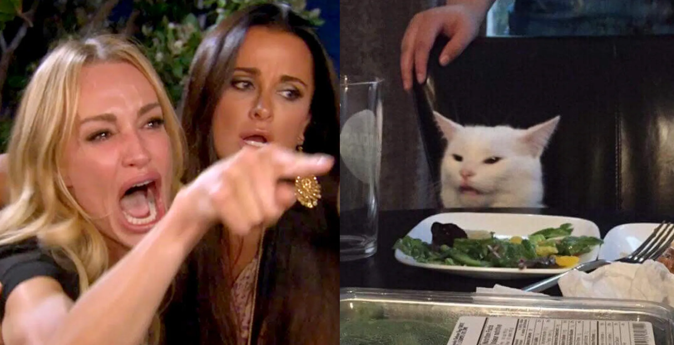Kyle Richards' cat meme