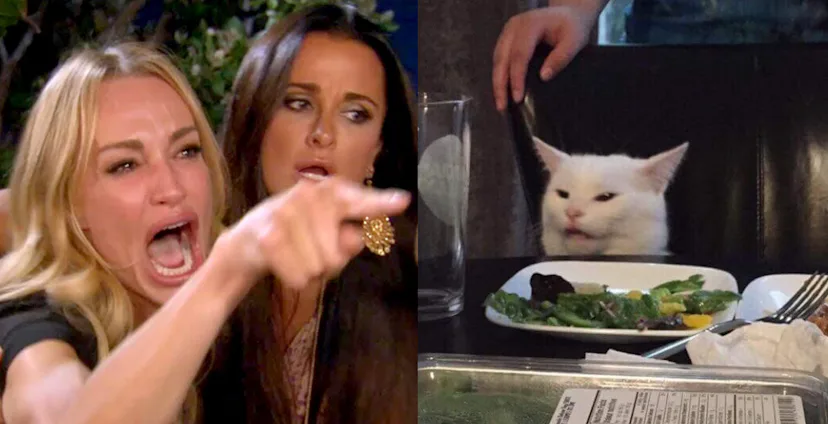 Kyle Richards' cat meme