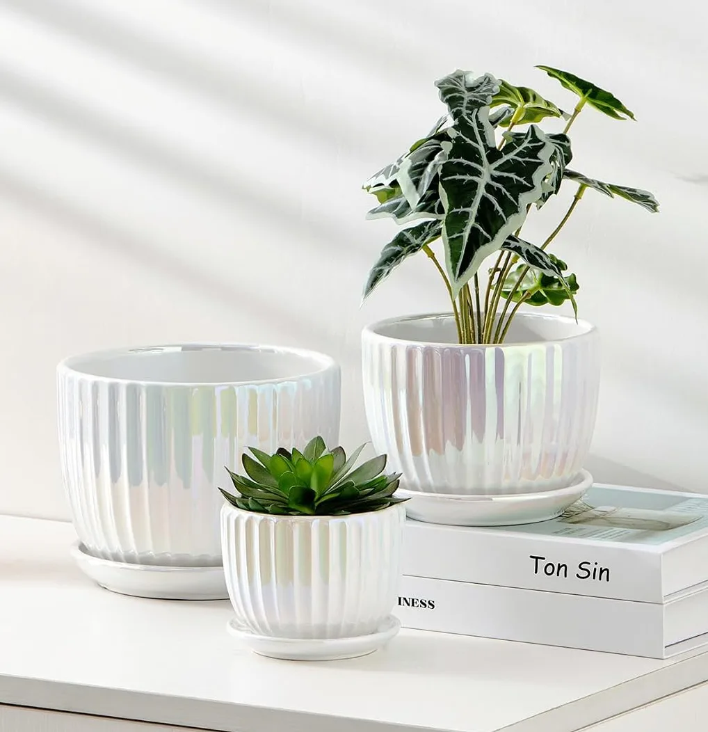 Ton Sin Ceramic Plant Pots (3-Pack)
