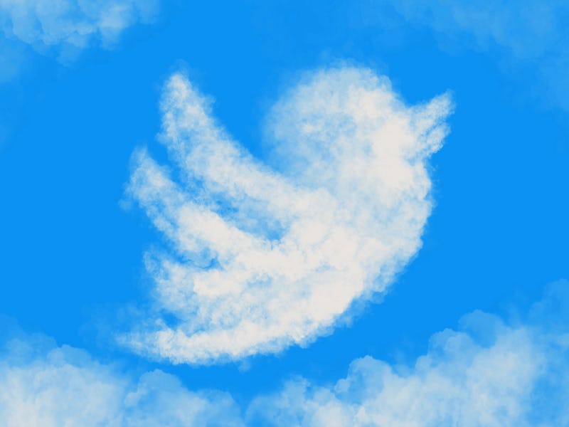 Twitter bird , twitter, twitter icon, flying in the sky, bird cloud , sky