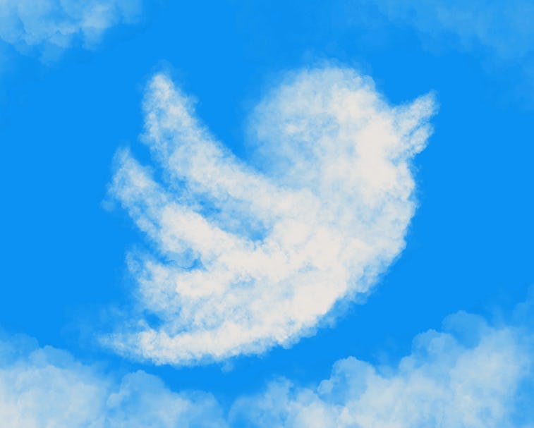 Twitter bird , twitter, twitter icon, flying in the sky, bird cloud , sky