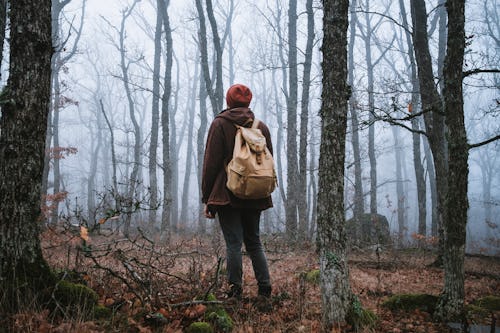 A woman stands in a creepy forest searching for ghosts. These are the best ghost-hunting apps that c...