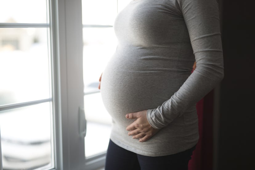 A young pregnant woman close to the window