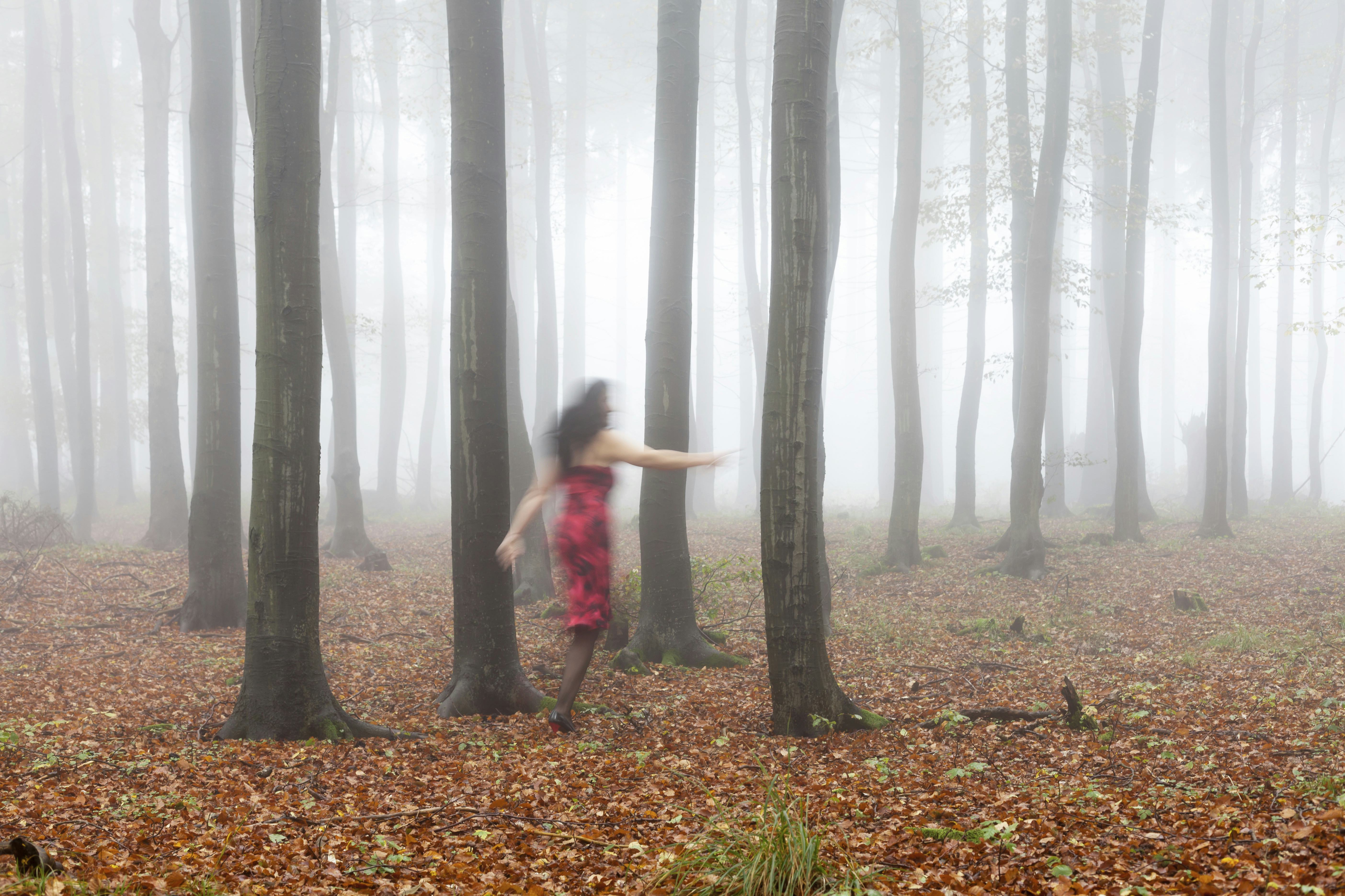 MODEL RELEASED Silhouette of a woman running through an autumnal beech forest like a ghost, Thuringi...