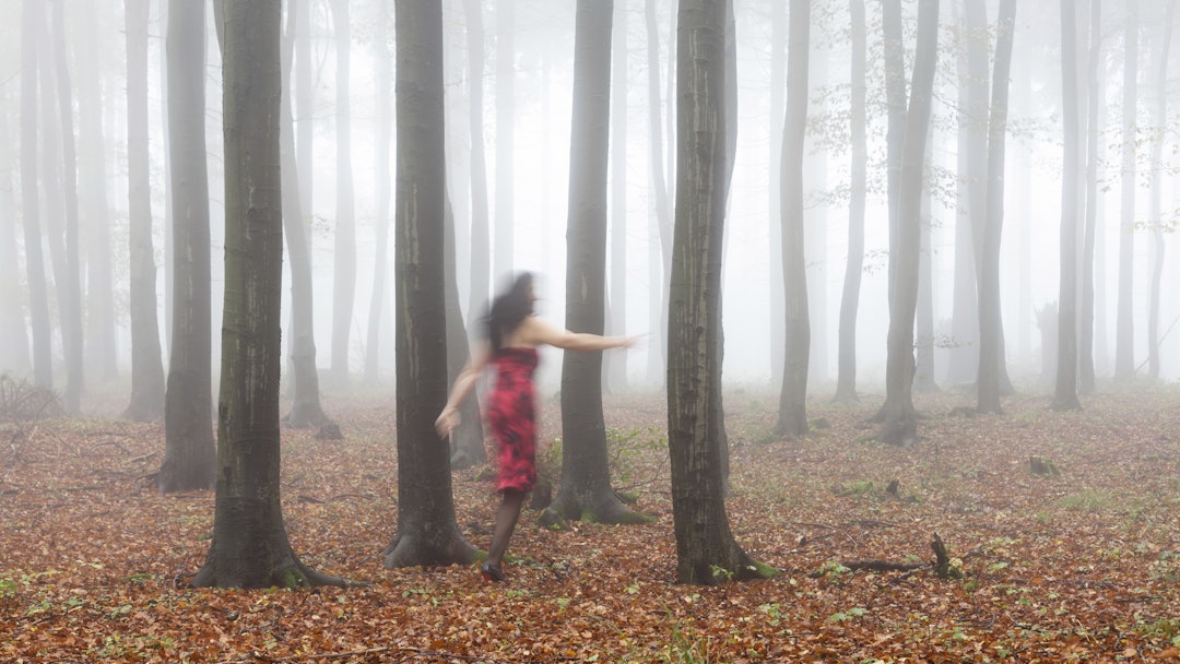 MODEL RELEASED Silhouette of a woman running through an autumnal beech forest like a ghost, Thuringi...