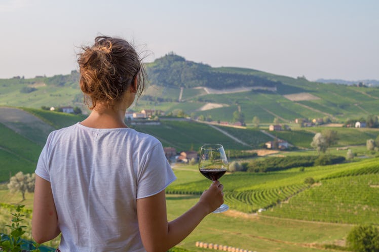 handsome girl holding a glass of red wine looking amazing green vineyards in the italian region of P...