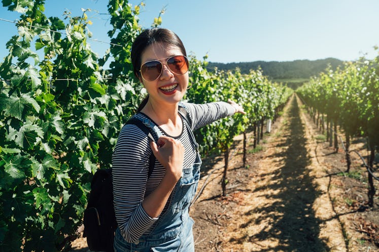 asian woman standing in napa valley vineyard cheerfully showing camera the blooming plants trees in ...