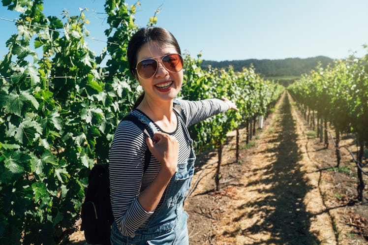 asian woman standing in napa valley vineyard cheerfully showing camera the blooming plants trees in ...