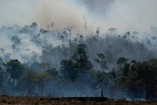 Fire consumes the Amazon rainforest in Altamira, Brazil, . Fires across the Brazilian Amazon have sp...