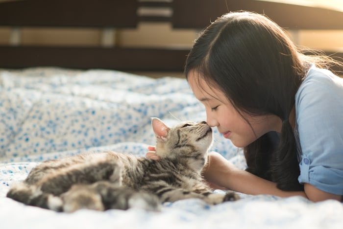 Beautiful asian girl kissing american shorthair cat on the bed